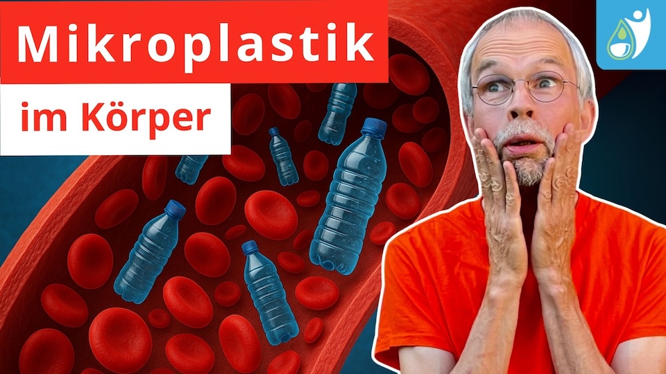 Mikroplastik im Körper